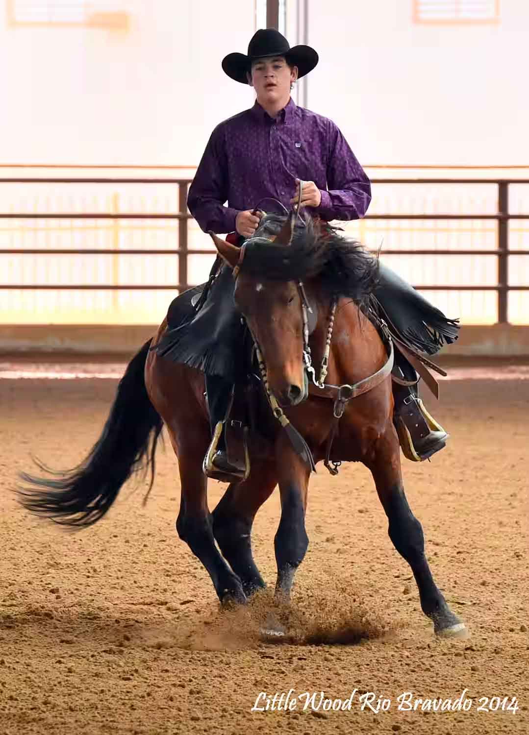 morgan-reiner-Littlewood-Rio-Bravado Morgan reining horse