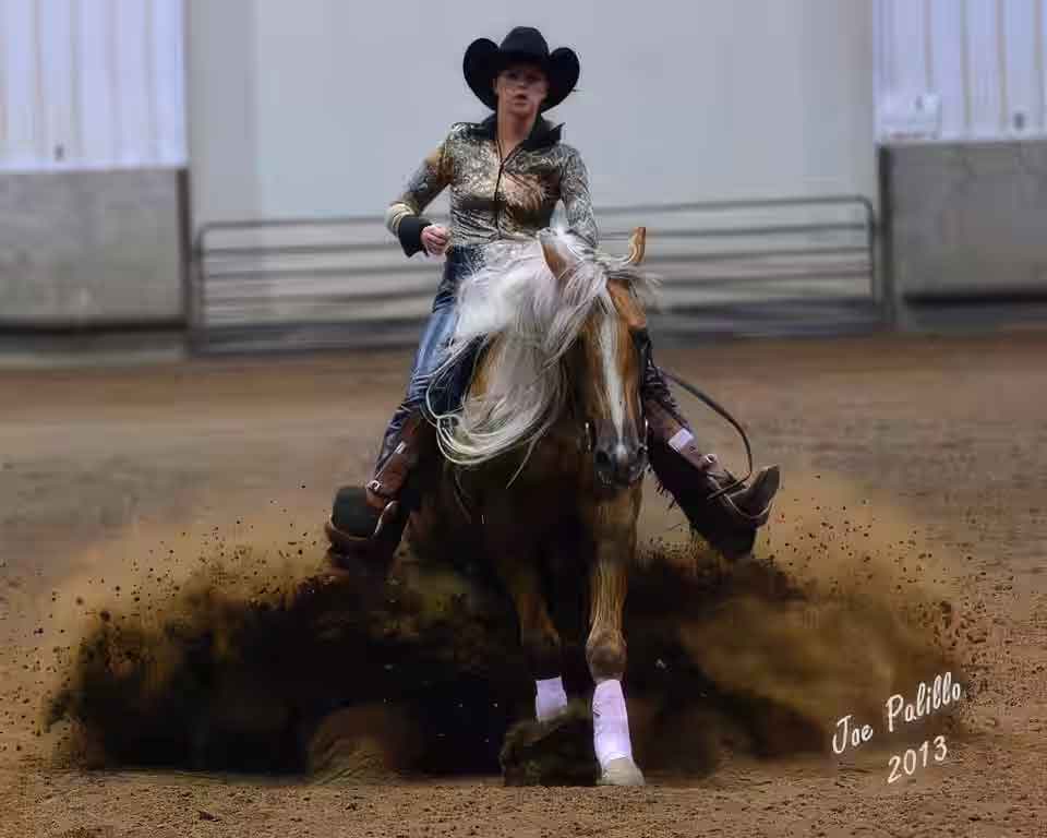 morgan-reiner-slide-palomino Morgan reining horse