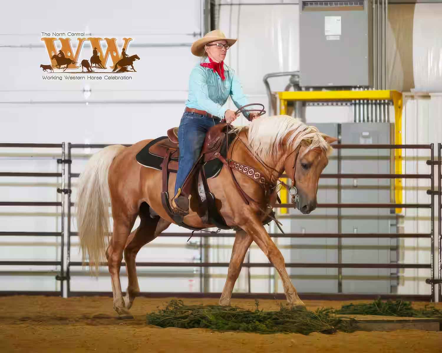 morgan-trail-Toroy-McClintock-1 Morgan reining horse