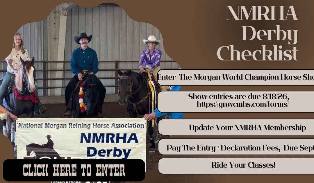 Have you checked all the boxes for the NMRHA Reining Derby?