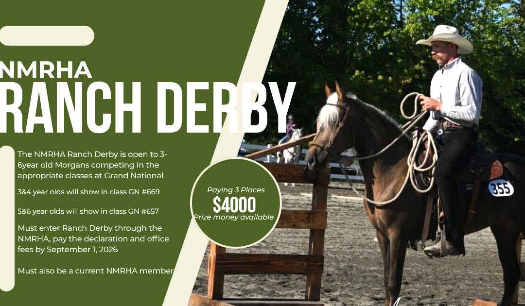 Get ready for the NMRHA RANCH DERBY!