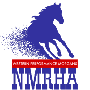 National Morgan Reining Horse Assn