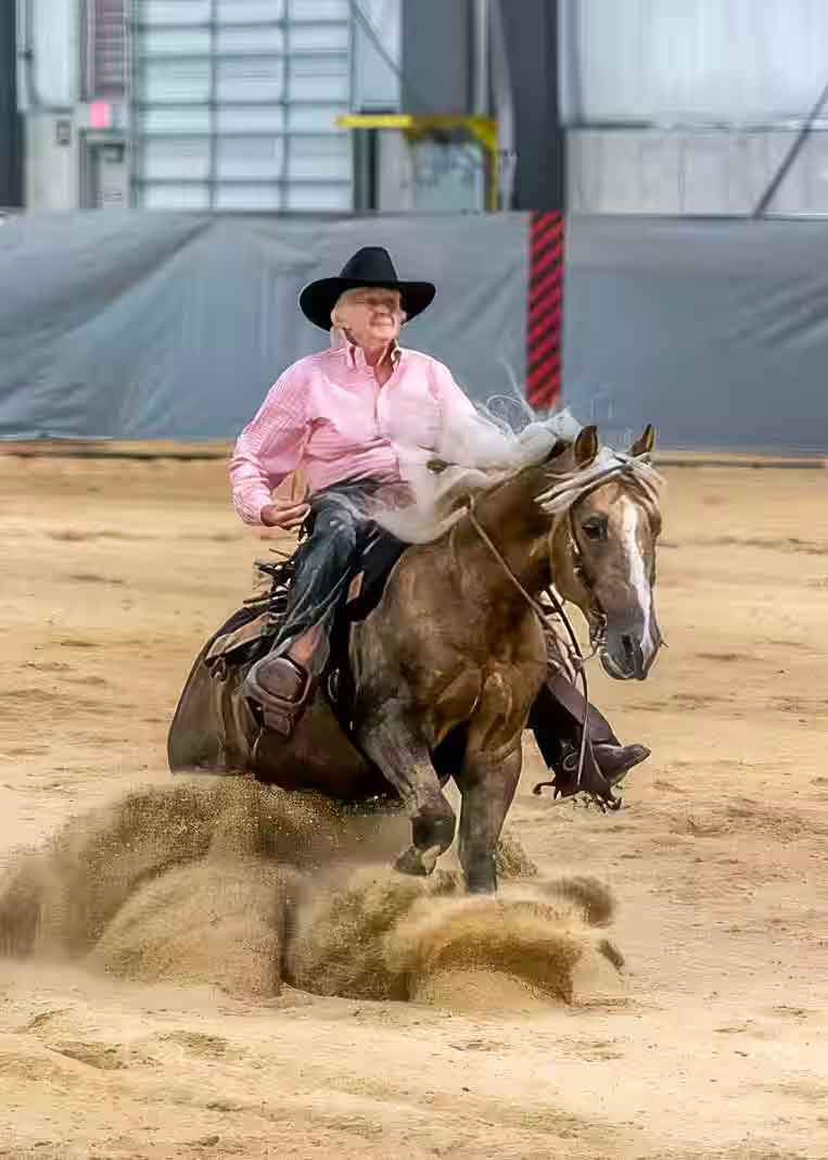 Morgan Reining Horse