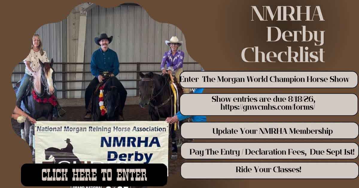 Reining Derby Checklist