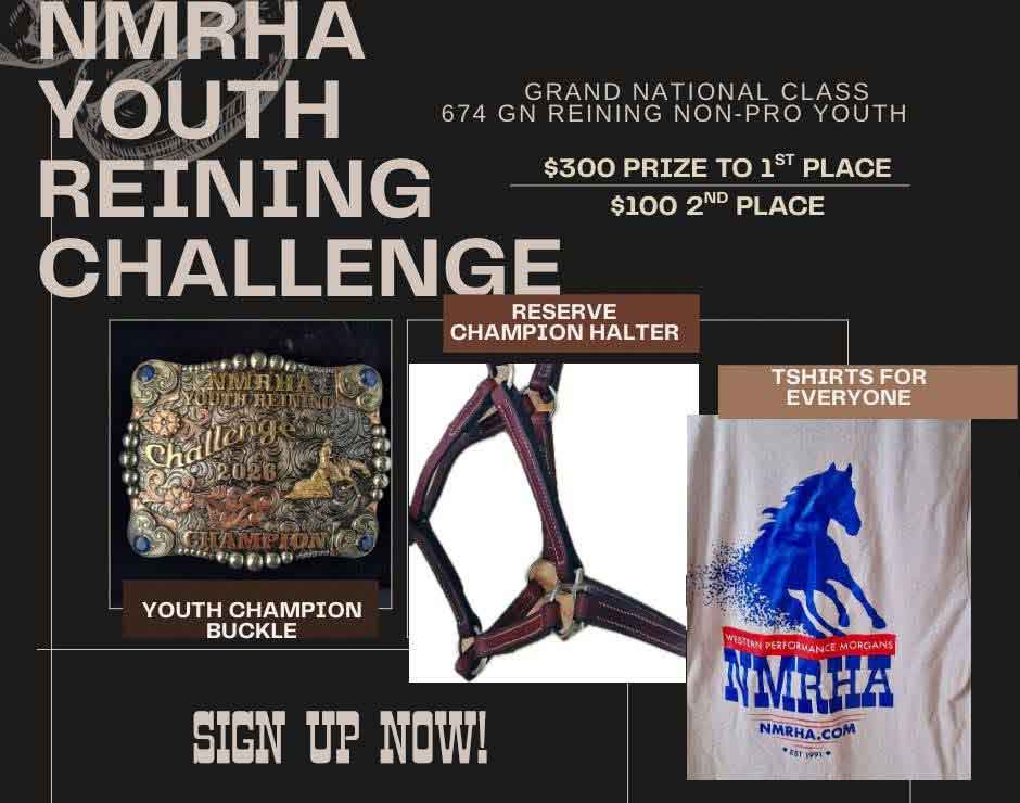 2026 NMRHA Youth Reining Challenge