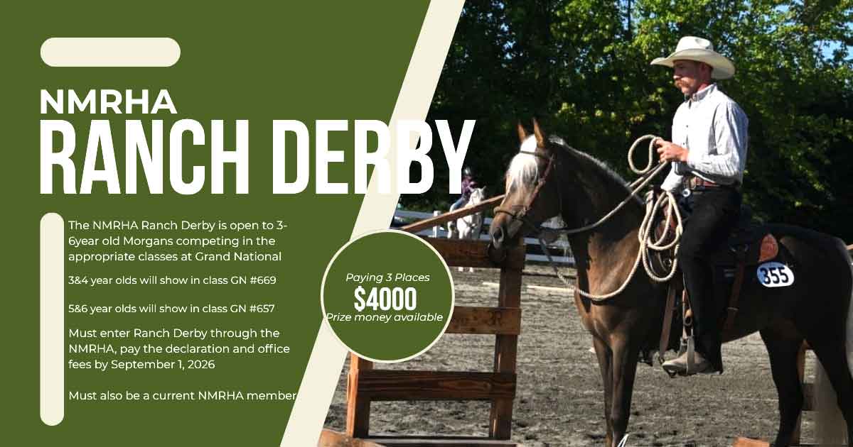 2026 NMRHA Ranch Derby